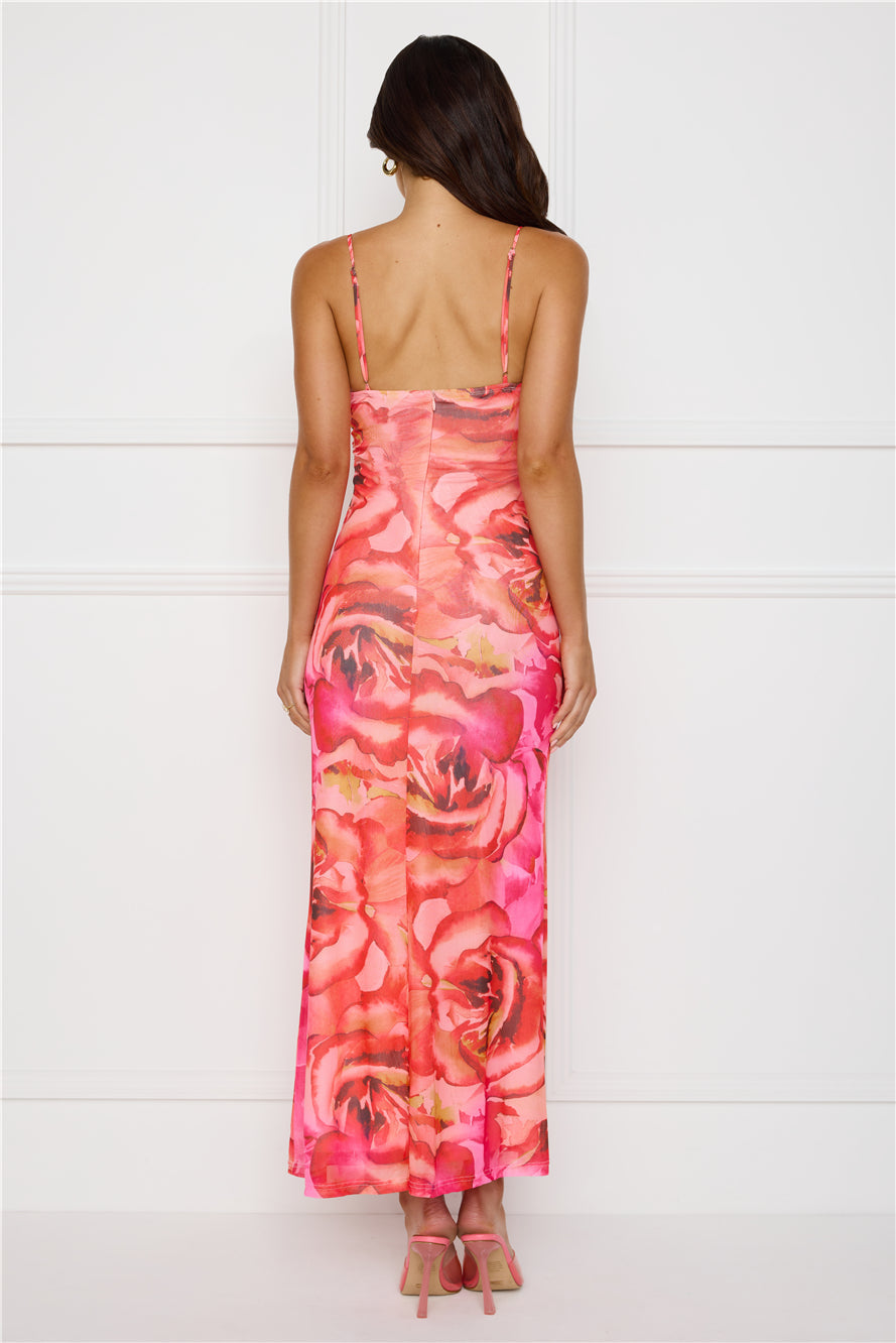 Seleneia Mesh Maxi Dress Pink